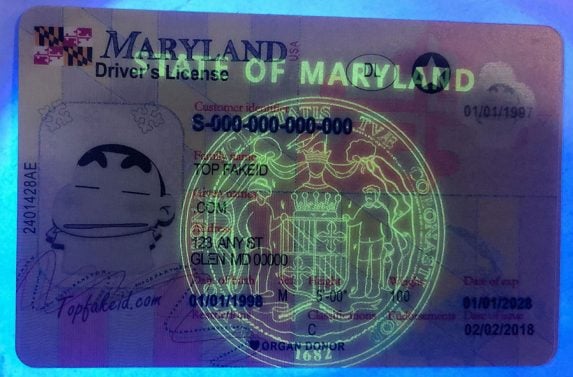 Buy Maryland Fake Id