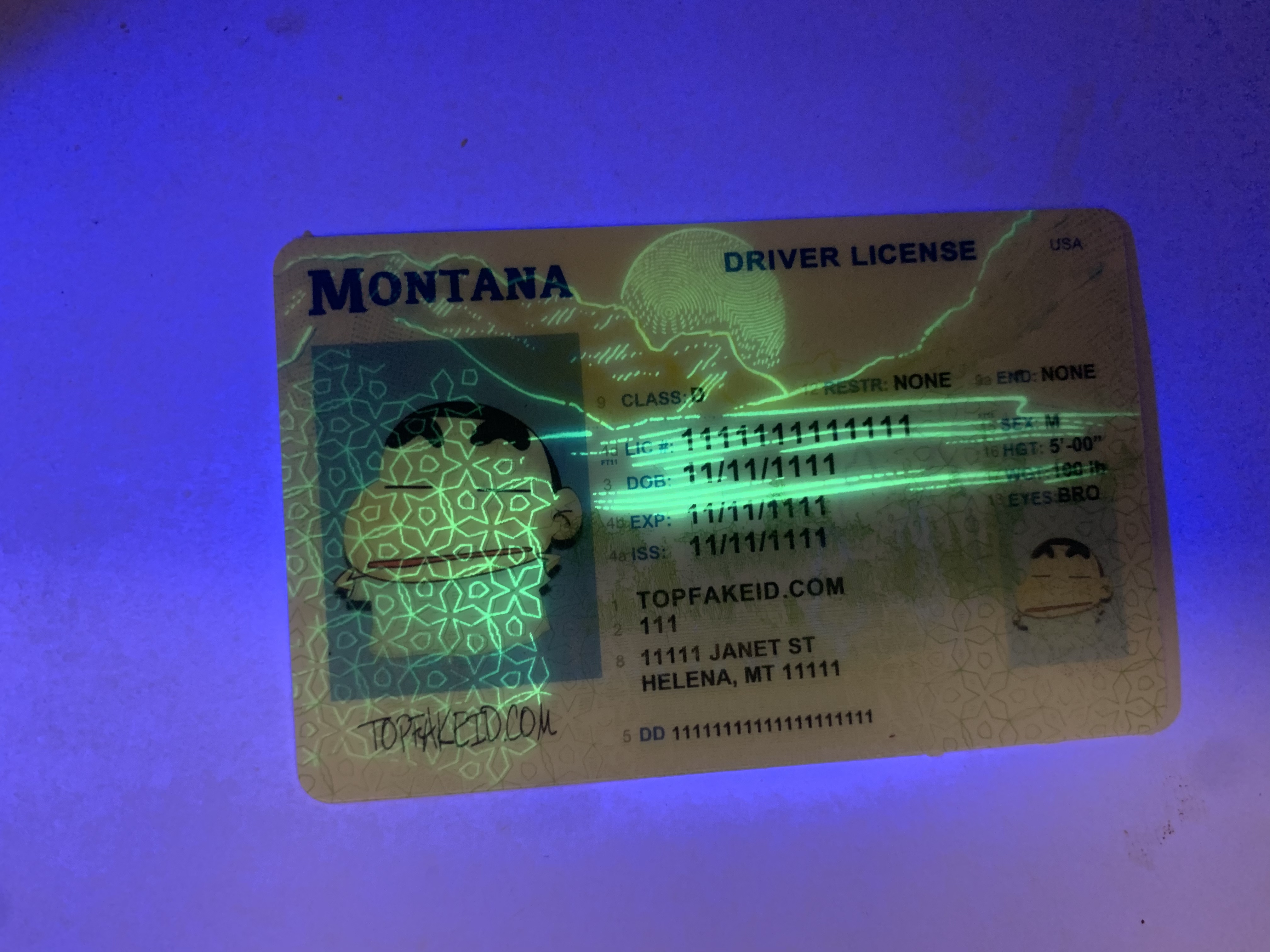 Buy Montana Fake Id