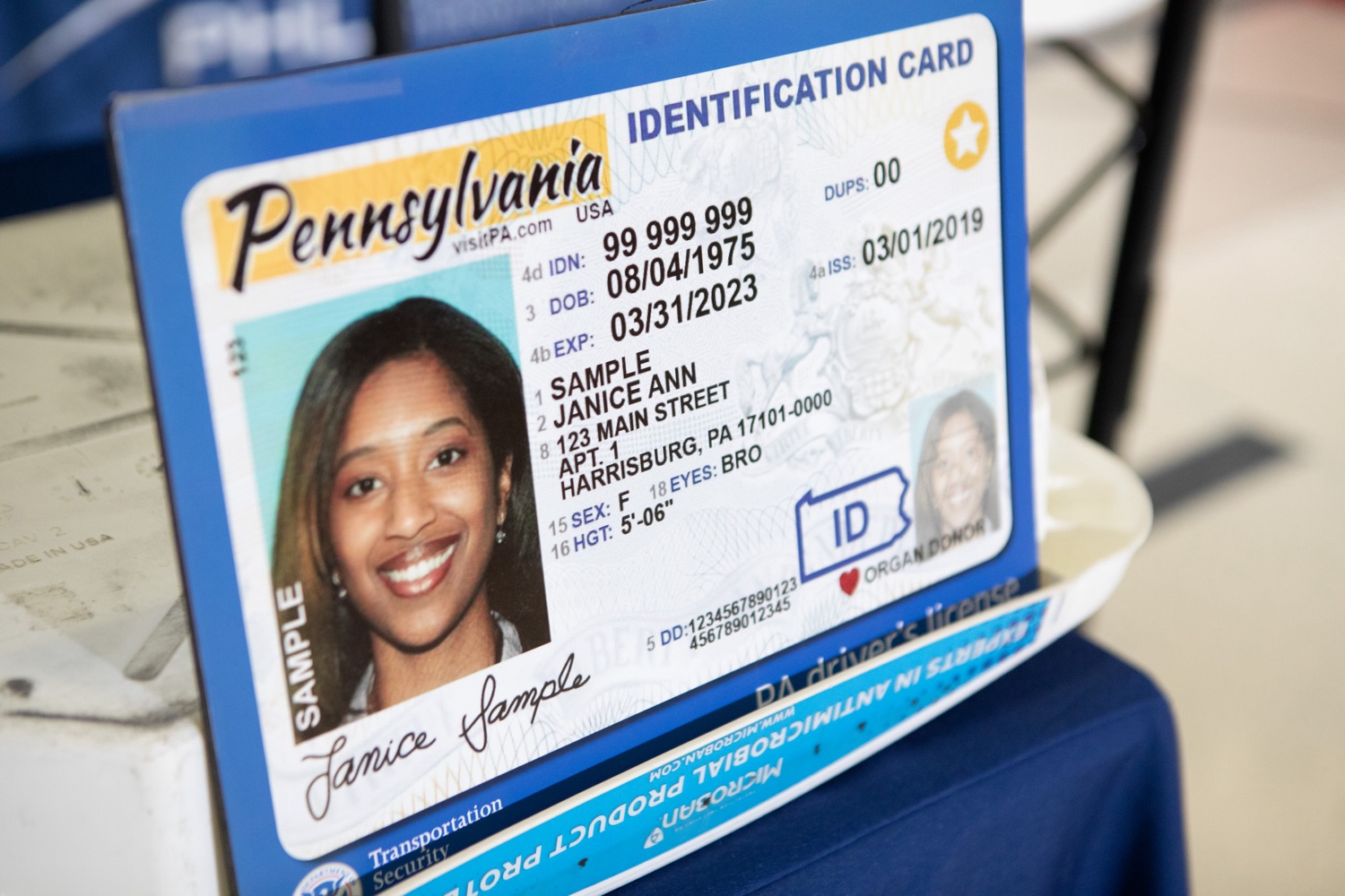 fake id philly