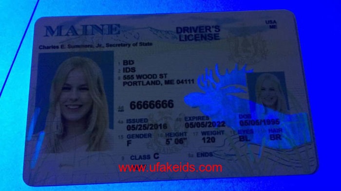 How Much Is A Maine Fake Id