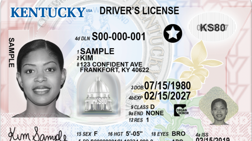 Kentucky Fake Id Front And Back