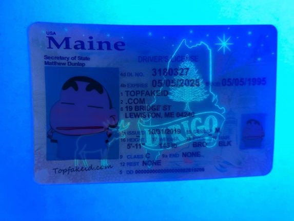 Maine Fake Id Website