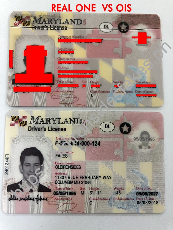 Maryland Fake Id Generator