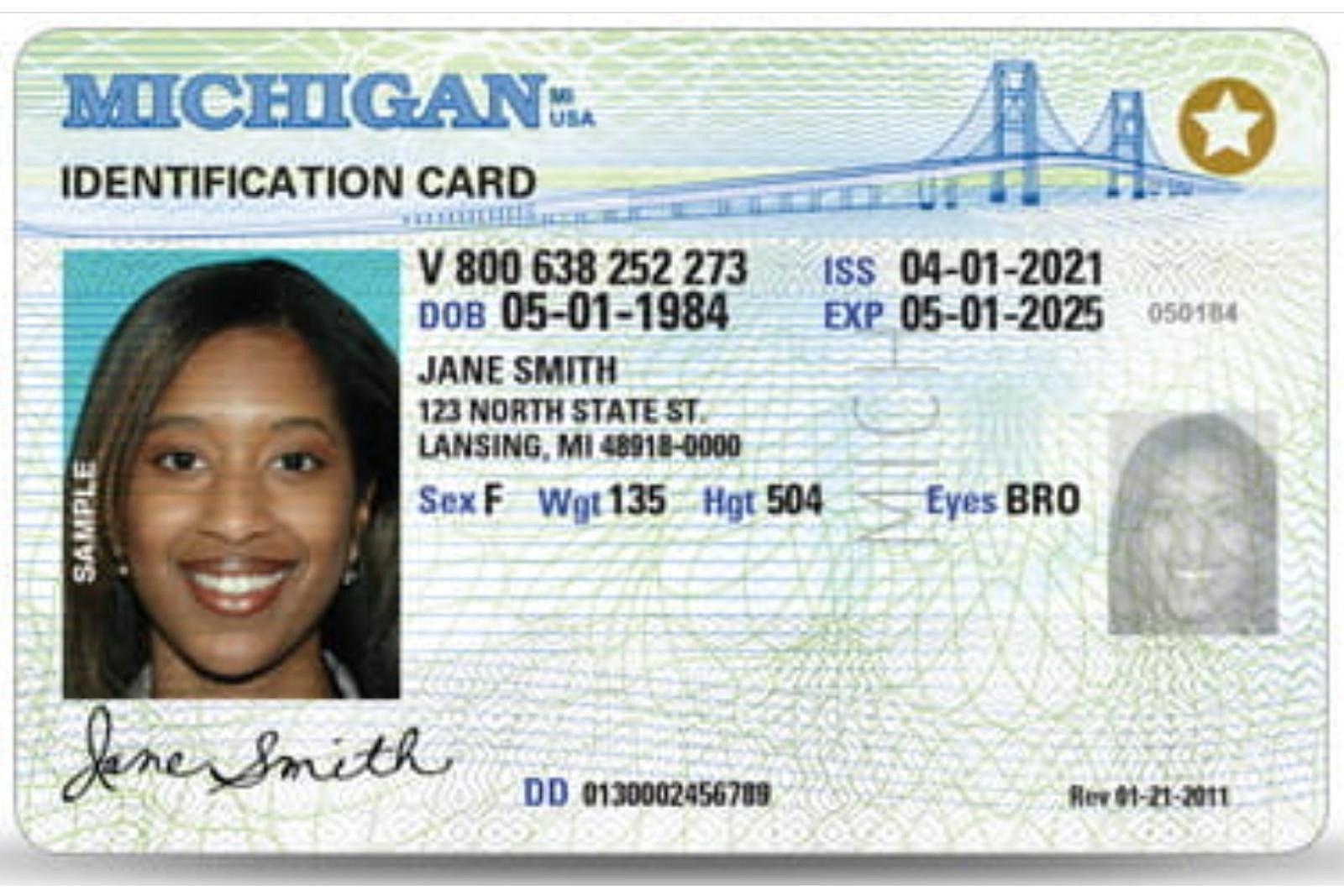 Michigan Fake Id Charges