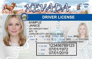 Nevada Fake Id Templates