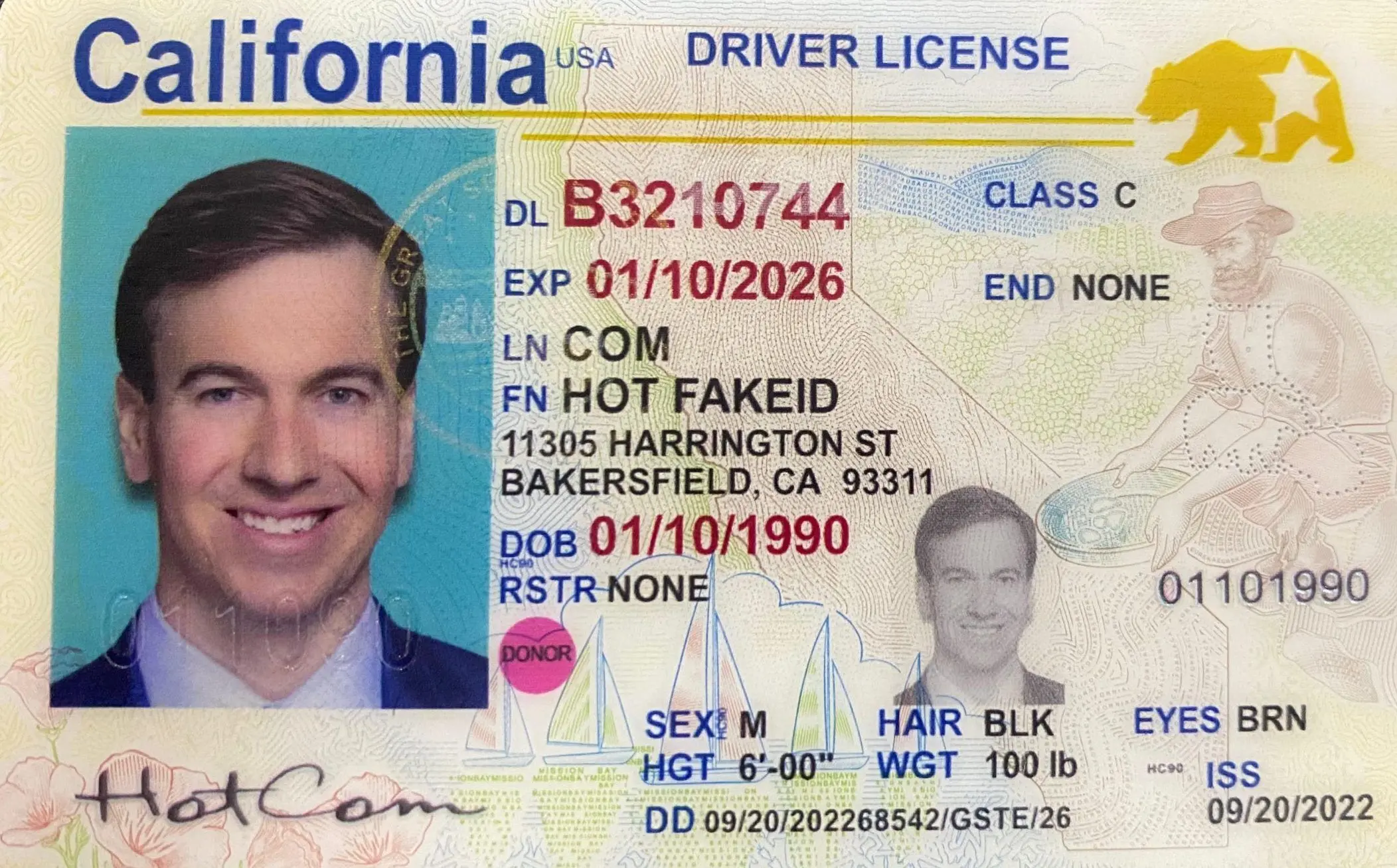 real fake id from dmv