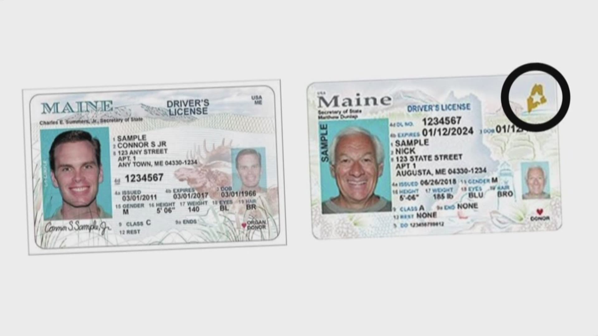 Where To Buy A Maine Fake Id
